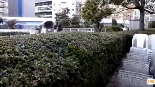 亚州福利视频网⭕❌亚洲精品99久久久久中文字幕